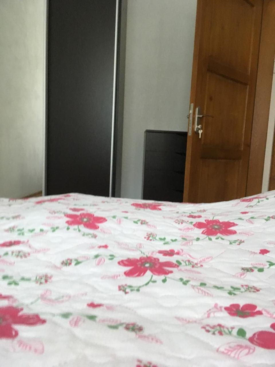 Apartaments In Karpaty Mizhhirya  Екстериор снимка