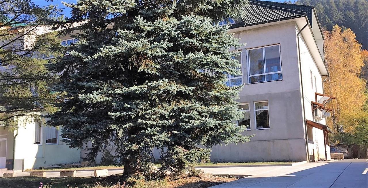 Apartaments In Karpaty Mizhhirya  Екстериор снимка